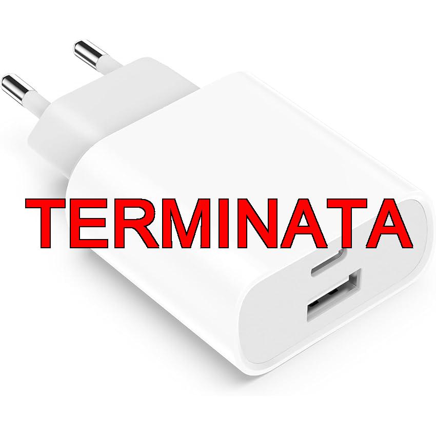 Caricabatterie USB C Caricatore per iPhone 15, 14 , 13, 12 , 11 , Pro, Max, Mini, SE, X, XR, XS, 20W USBC Rapido Alimentatore Presa Spina Ricarica Adattatore Muro Carica Spinotto