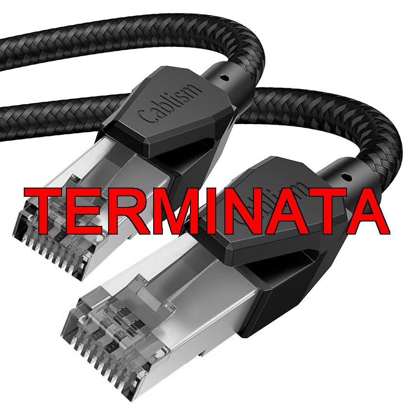 cablism Cavo Ethernet Cat 8 3 metri,Cavo di rete 5m 8m 12m LAN 40 Gbps schermato SFTP Internet 2000 MHz RJ45 Cavo patch placcato oro (3Metri)