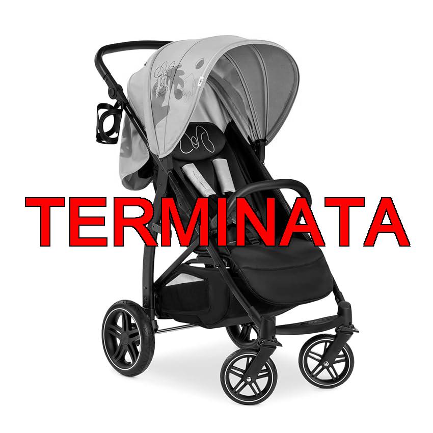 hauck Rapid 4D, Disney Minnie Rosa – Passeggino 0 Mesi a 22 kg – Ruote di Gomma con Sospensioni, Schienale e Maniglione Regolabile, UPF 50+, Cesto Portaoggetti, Portabibite, Chiusura ad una Mano