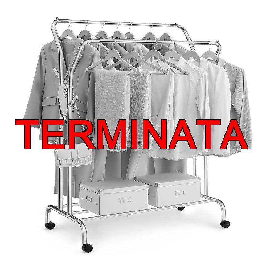 SONGMICS Stand Appendiabiti Doppio, Attaccapanni con Ruote, Struttura in Acciaio, Portata fino a 100 kg, Larghezza di 103,5 cm, Multifunzione, Color Argento HSR107E01