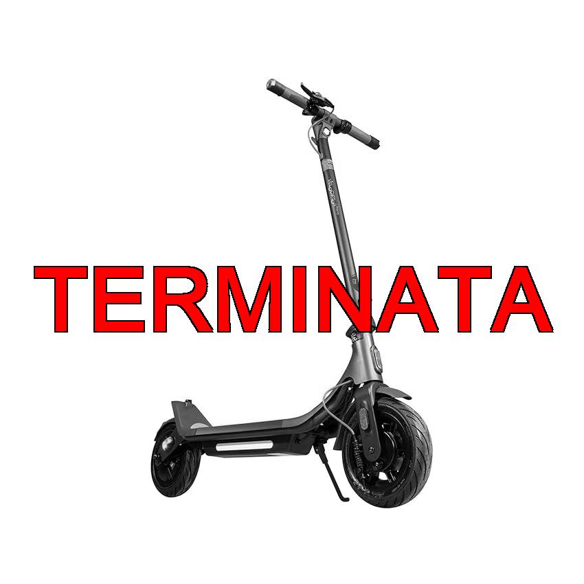 EMG Hero ES 108 EW, Monopattino Elettrico, Motore 350W, Batteria 36V 7,8Ah, Max 25 km, h, Doppio Impianto Frenante, Frenata Rigenerativa, Giroscopio, Cruise Control, Indicatori di Direzione