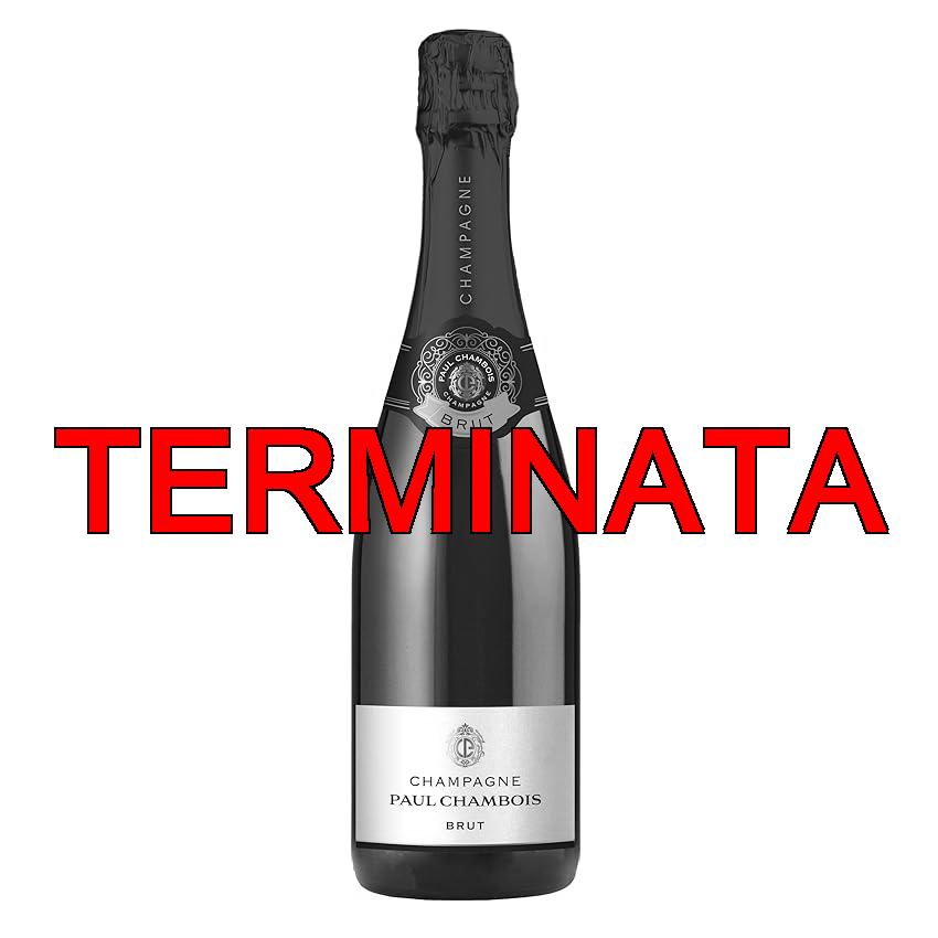 Paul Chambois Champagne AOC Brut, 1 x 0.75 L