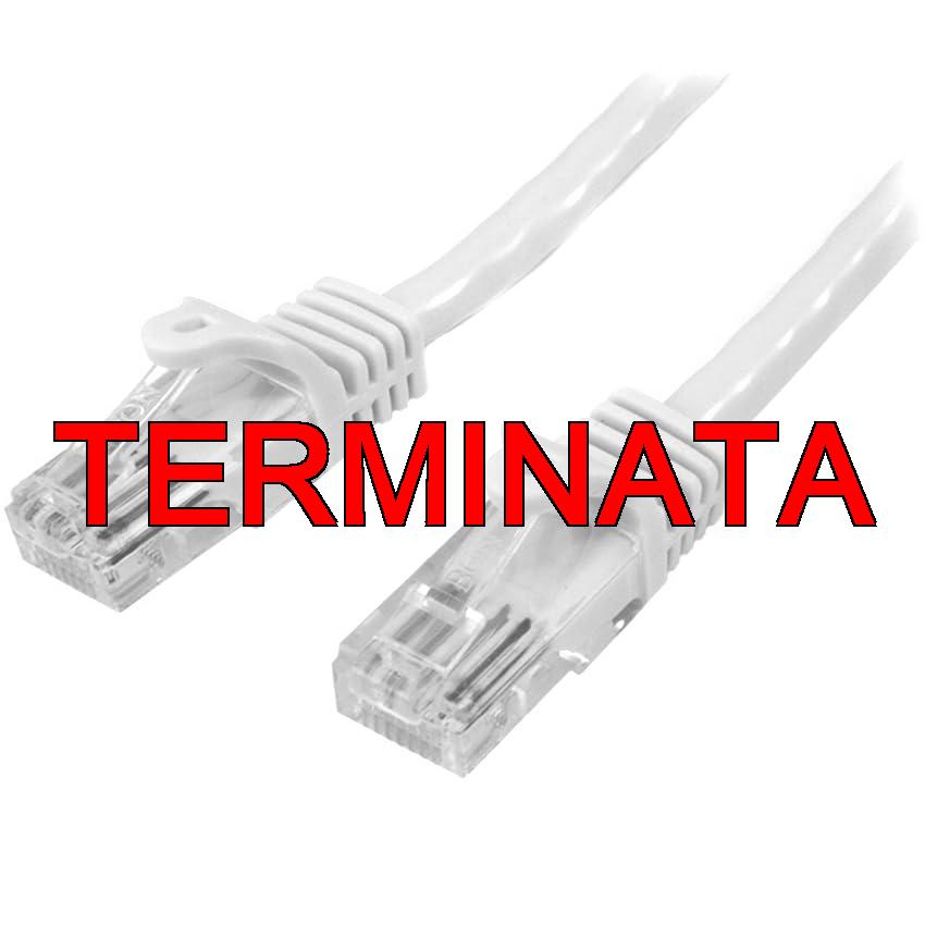 StarTech.com Cavo di Rete da 5m Bianco Cat5e Ethernet RJ45 Antigroviglio, Cavo Patch Snagless