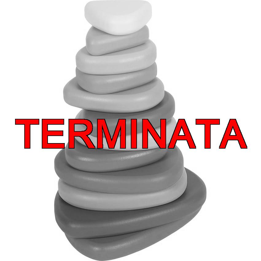 Small Foot Pietre di bilanciamento Montessori in Legno FSC® 100% Certificato, 12 Pietre da impilare, Giocattolo didattico per la promozione di motricità, a Partire da 1 Anno, 12759