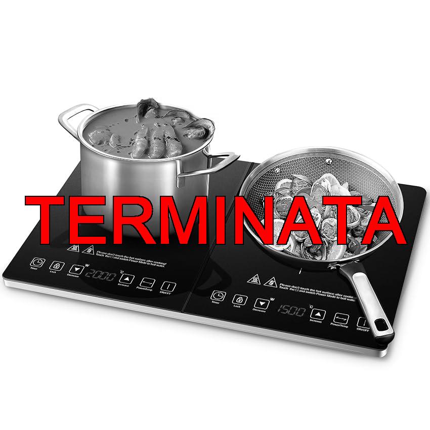 AMZCHEF Piastra a Induzione 2 Fuochi, Piano Cottura Induzione 2 Fuochi con Controllo Indipendente, Livelli di Potenza Multipli, 20 Livelli di Temperatura, Timer 3 ore, 3500W, Blocco di Sicurezza