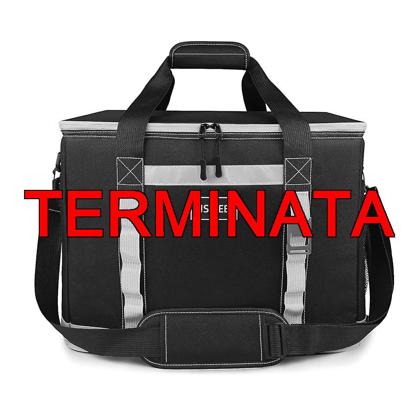 INSMEER Borsa Termica Pieghevole da 48 L, 65 Can, Borsa Termica da Picnic, borsa frigo, impermeabile, per Escursioni, Picnic, Auto, Shopping, Nero
