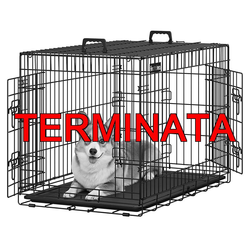 Feandrea Gabbia per Cani Pieghevole, con 2 Porte, Vassoio Rimovibile, 136 x 79 x 84 cm, XXXL, Nero PPD054B01