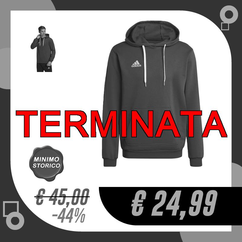 adidas Entrada 22 Sweat Hoodie Felpa con Cappuccio, Team…
